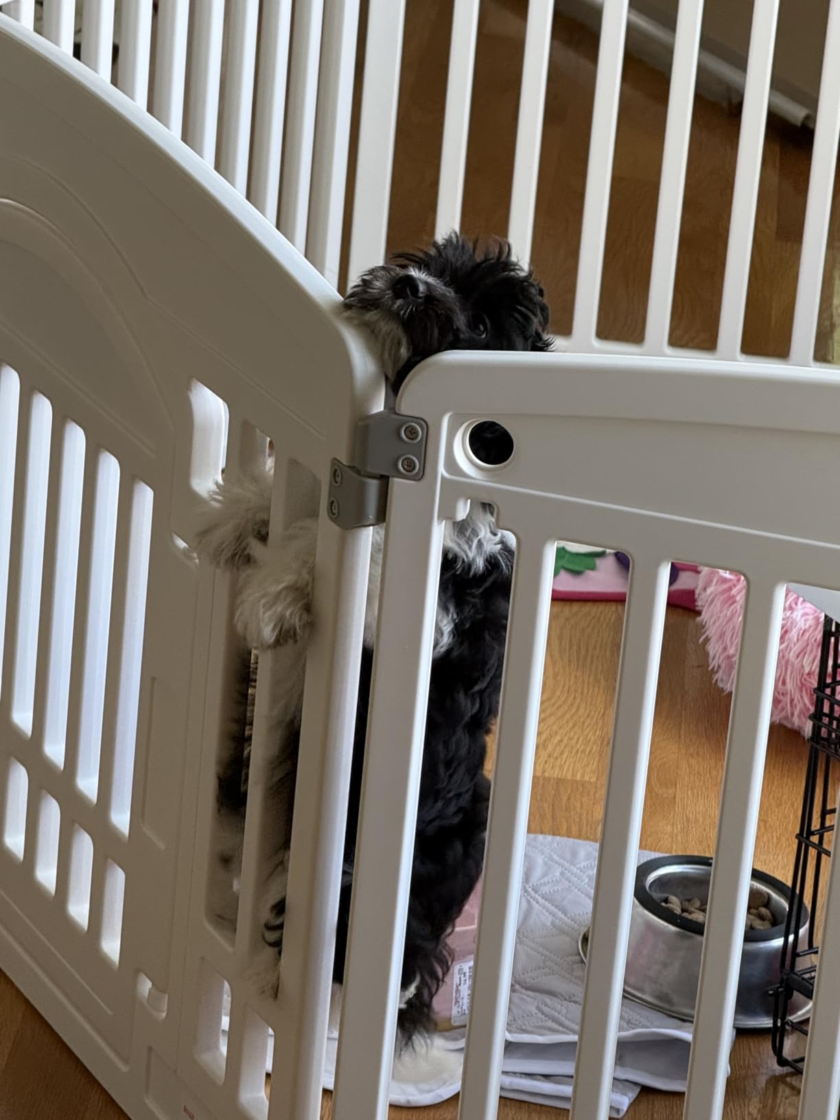 <strong>Emily R.</strong>